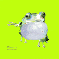 Nervous A To Z GIF