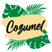 Angel_Meraw riviera maya cozumel  quintana roo Sticker