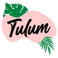 Angel_Meraw tulum riviera maya quintana roo Sticker