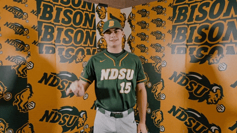 Baseball Bison GIF by NDSU Athletics