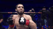 Sport GIF by UFC