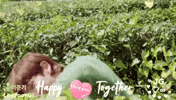 Lee Joon Gi Jg GIF