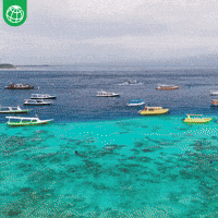 Cultural Heritage Indonesia GIF by World Bank