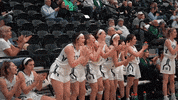 Iwutitans Tgoe GIF by iwusports