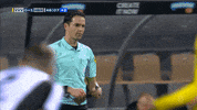 GIF by FOX Sports