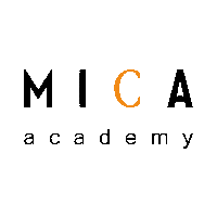 micaacademy academy mica wella parrucchieri Sticker