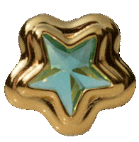 Star Glitter Sticker by Carla Lomonaco