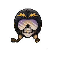 Top Gun Beer Sticker by Voodoo Ranger
