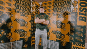 Baseball Bison GIF by NDSU Athletics
