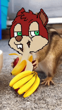 Scared Crypto GIF by ChipPunks