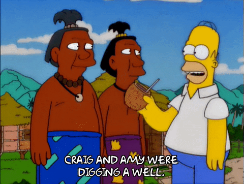 homer simpson GIF