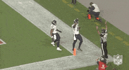 Tennessee Titans Football GIF by NFL