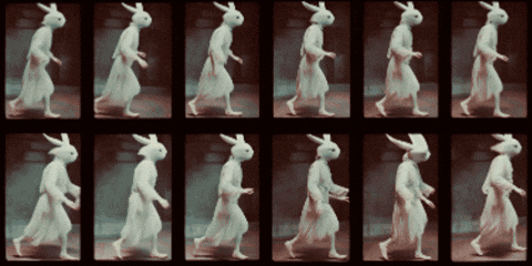 Rabbit Grid GIF by erica shires