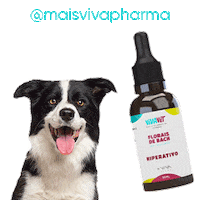 maisvivapharma cat dog amor pet Sticker