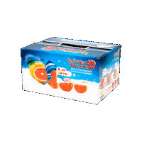 LoneStarCitrus citrus grapefruit texasgrapefruit wintersweetz Sticker