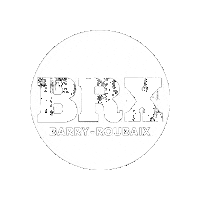 Brx Sticker by Barry Roubaix