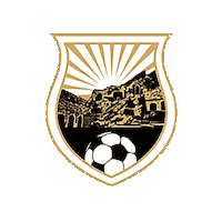 Erovnuli Liga Eliga Sticker by Georgia Gff