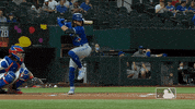 Regular Season Sport GIF by MLB