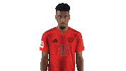 Fc Bayern Smile Sticker by Bundesliga