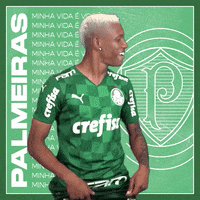 Dance Soccer GIF by SE Palmeiras