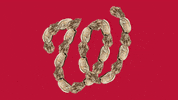 ChesapeakeBayFoundation world series nationals oysters chesapeake GIF