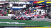 Martin Truex Jr Sport GIF by NASCAR