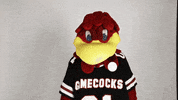 Giving South Carolina GIF by University of South Carolina