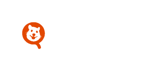 Quokkamydelivery giphyupload quokka Sticker