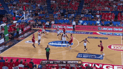 GIF by NBL