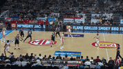GIF by NBL