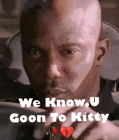 Free Fire Cat Meme GIF