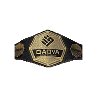 QadyaMMA belt qadya mma belt qadya belt Sticker