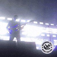 the strokes governors ball GIF by GOVBALL NYC