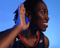 Belmont Bruins GIF by Belmont Athletics