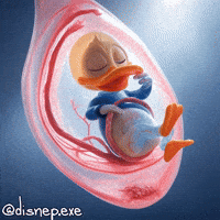Expecting Donald Duck GIF
