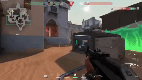 startuol giphygifmaker valorant vandal GIF