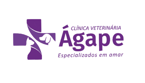 veterinariaagape giphyupload love cat dog Sticker