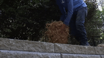 Seed Hay GIF by JC Property Professionals
