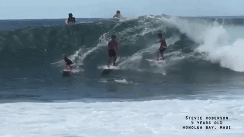 thelonghairs giphyupload GIF