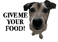 Rescue Adopt Sticker by helpinganimalsromania