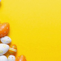 Happy Easter Barista GIF by coffeekult