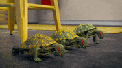 Sport Crossfit GIF by MightyMike