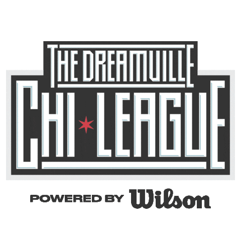 Next Chapter Nba Sticker by Wilson Football