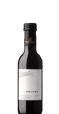 Winery Winelover Sticker by Crama Viticola Corcova