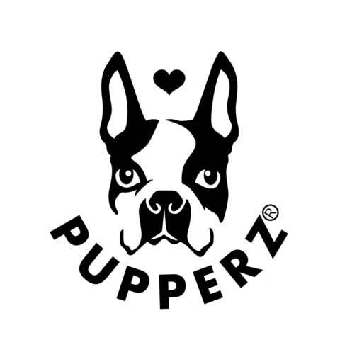 pupperzau boston terrier pupperz bostie pupperzau Sticker