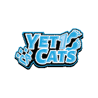 Cheer Athletics Sticker by CA Denver