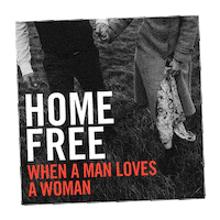 Austin Brown Love Sticker by Home Free