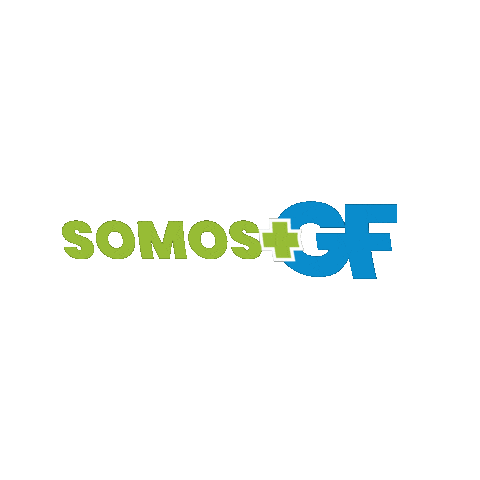 grupoferranteradiocomunicacao giphyupload ferrante grupoferrante ferrantinho Sticker