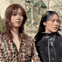 Christian Dior GIF