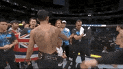 Max Holloway Sport GIF by UFC